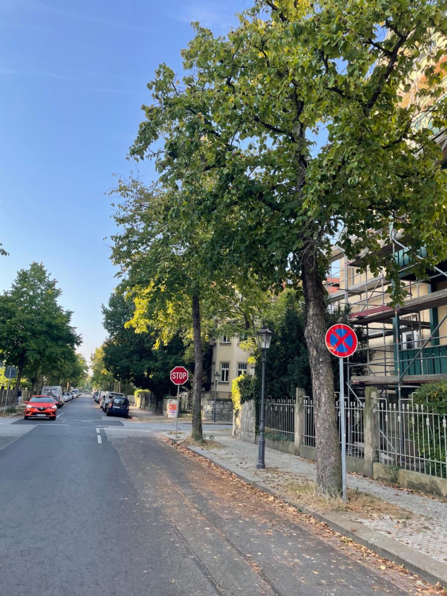 Lejlighed Toni Charming Im Idyllischem Villenviertel Mit Netflix *