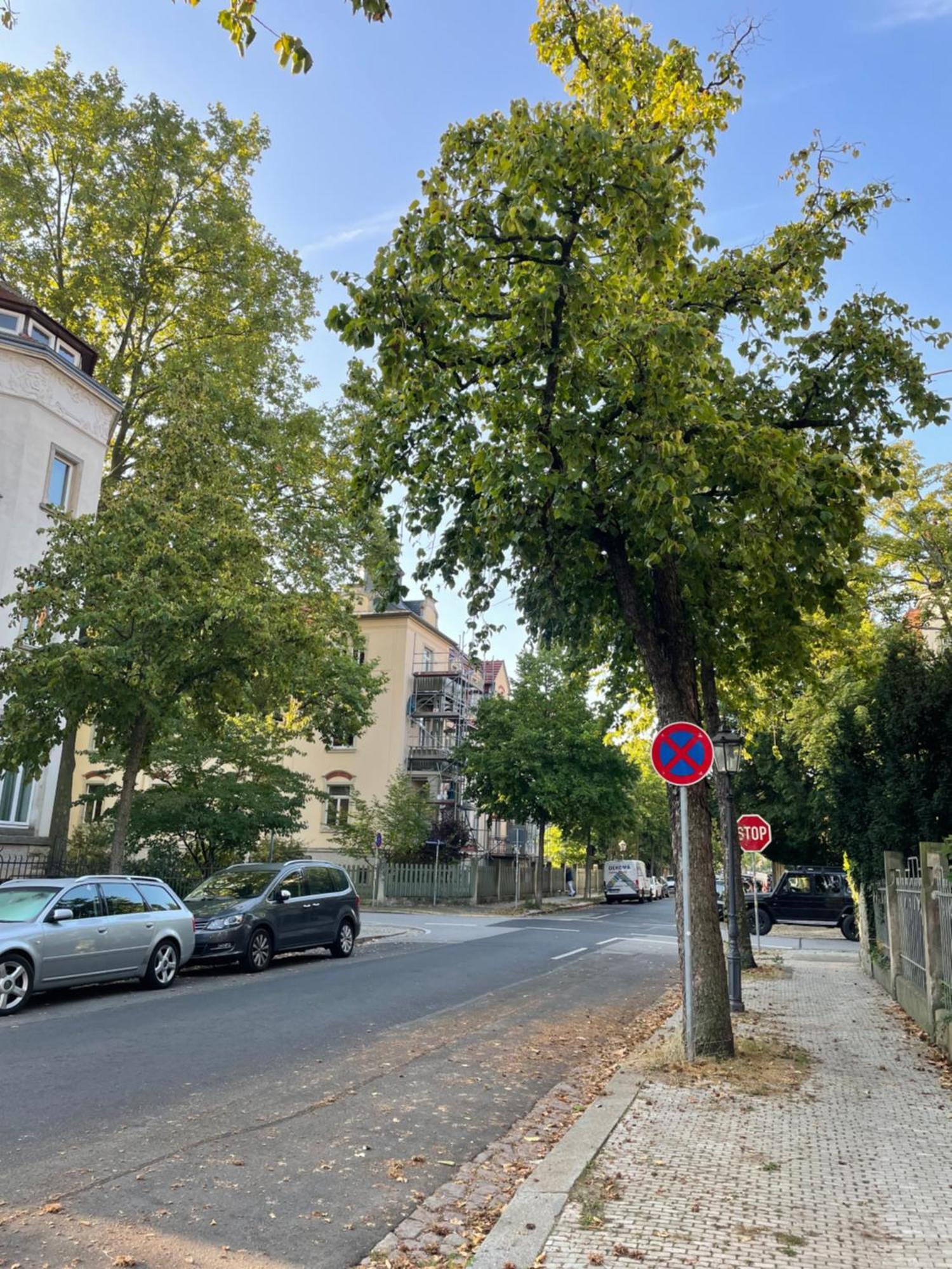 Apartment Toni Charming Im Idyllischem Villenviertel Mit Netflix